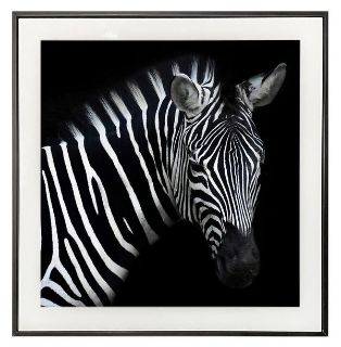 Obrázek z Obrázek černobílý 30x30cm - zebra 